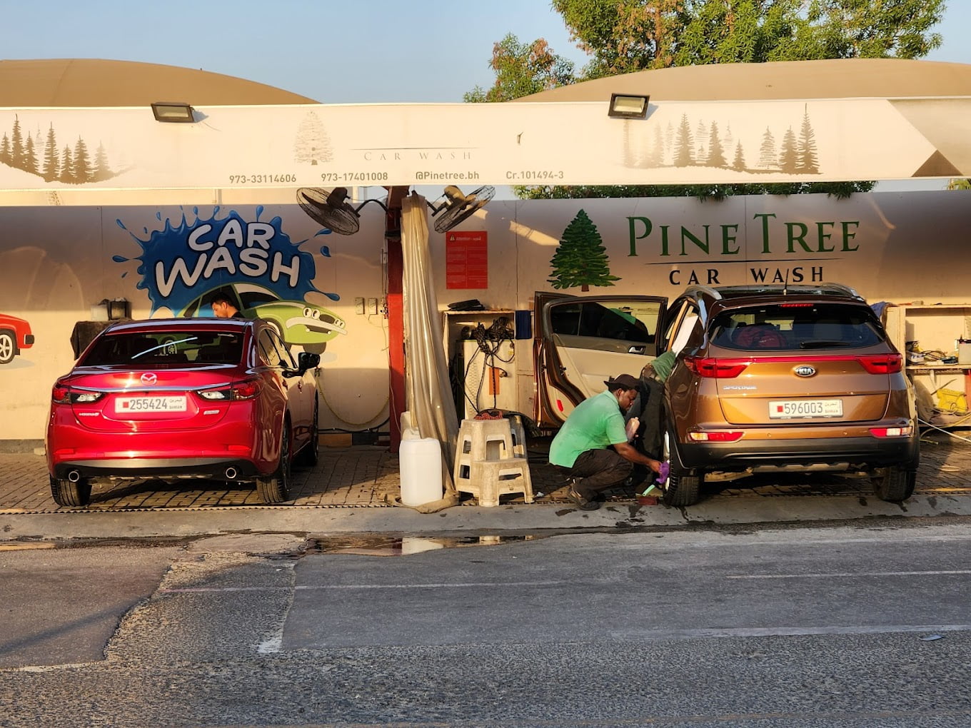 Pine Tree Car Wash